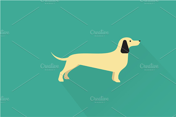 Dachshund Dog Icon