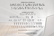 Radiate | Script Font, a Handwritten Font by Scratchones (Thumbnail 7 of 9)