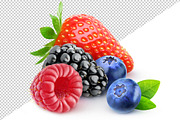Isolated berries, an Object Graphic by Fruits+Veggies (Thumbnail 3 of 4)