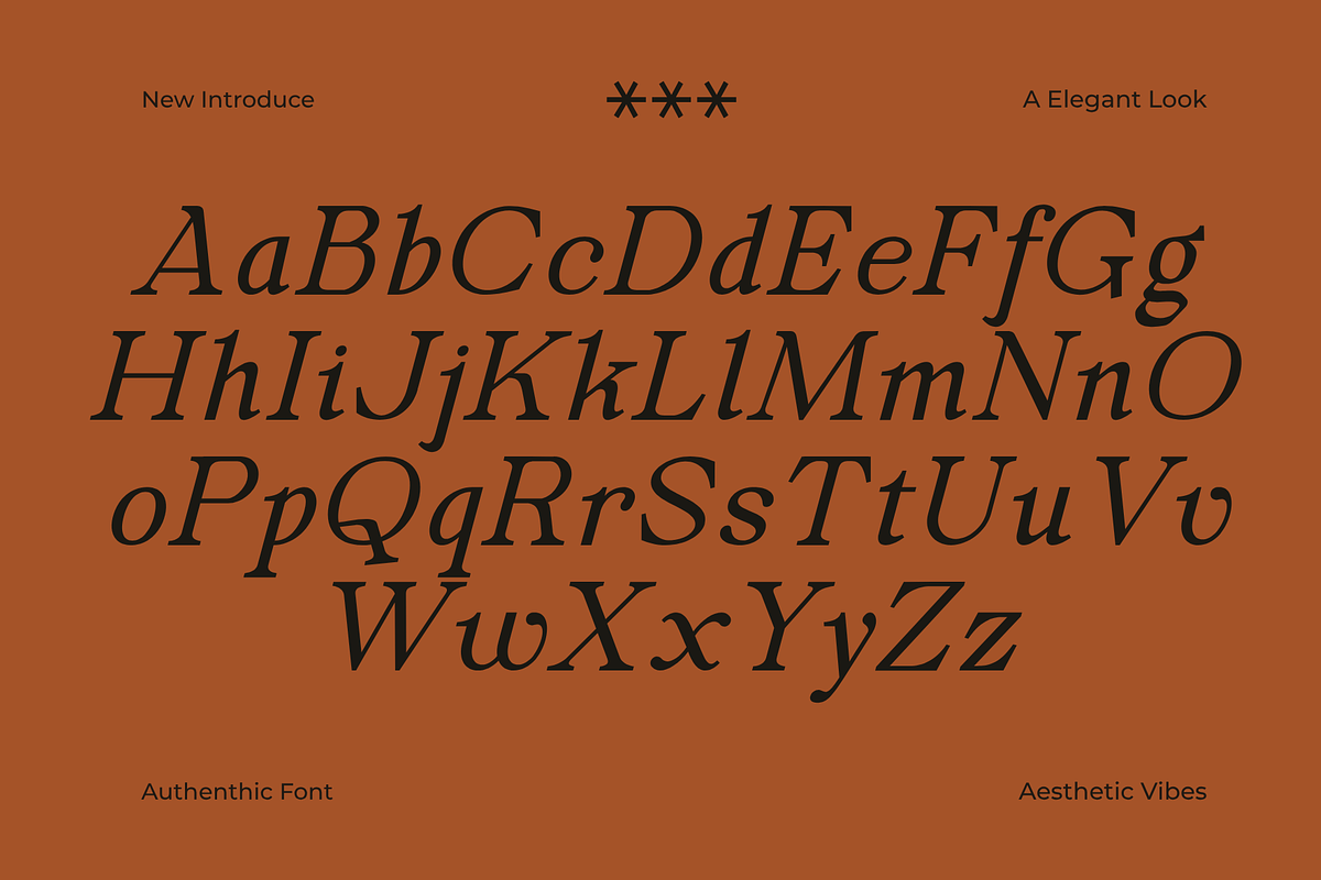 Secth Vought–Luxury Editorial Serif, a Serif Font by MaikoHatta (Photo 7 of 10)