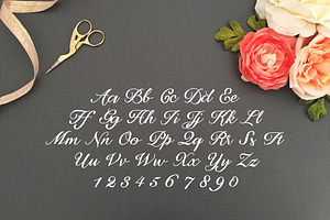 Henrietta Lynette Font