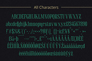 Benida Rounded Vintage, a Serif Font by Craft Supply Co. (Thumbnail 5 of 8)