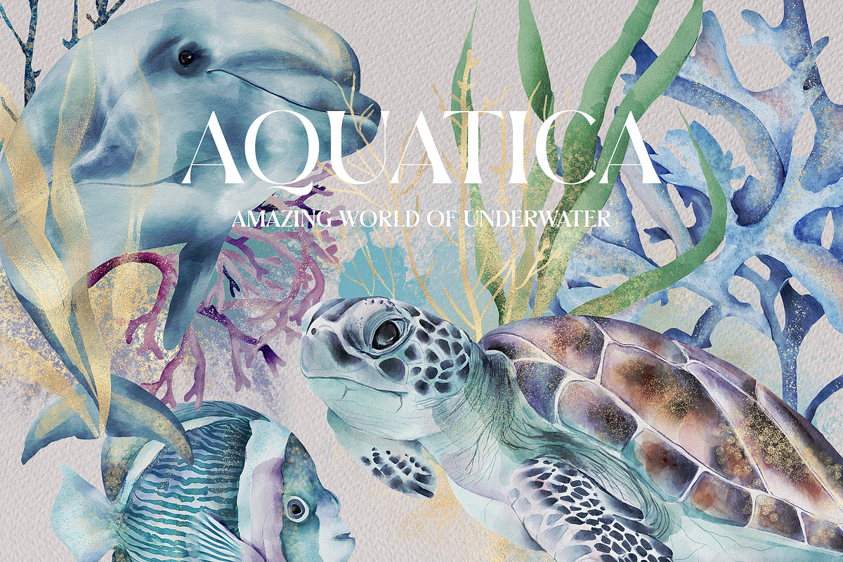 Underwater World in Watercolour, an Animal Illustration by Busy May Studio (Photo 1 of 11)