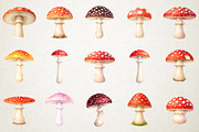 Watercolor Amanita Mushrooms Clipart, an Illustration by RobertsArt (Thumbnail 2 of 5)