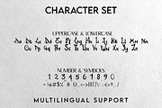 Blackwick, a Handwritten Font by Dm Studio (Thumbnail 8 of 9)