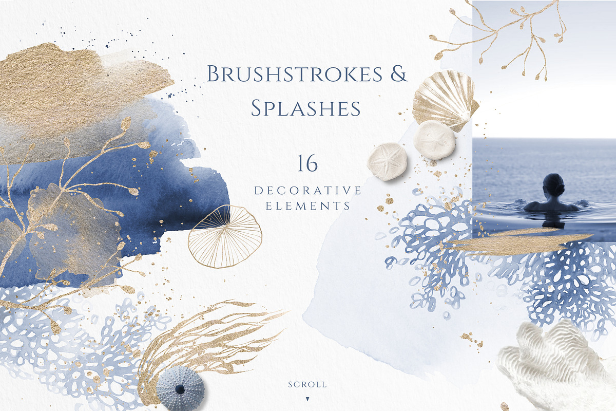 Ocean Memories Underwater Collection, an Animal Illustration by beehouse studio (Photo 9 of 12)