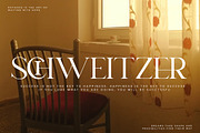 Cary | Classy Serif Font, a Serif Font by Pentagonistudio (Thumbnail 7 of 10)
