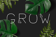 Lush Sans Font with Leaves, a Font by Beck McCormick (Thumbnail 3 of 7)