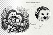 Forest Hedgehog Illustrations, an Animal Illustration by DENIDigitalArtSudio (Thumbnail 8 of 8)
