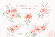 Poppy Blooms – Watercolor & Line Art, a Decorative Illustration by Liliia Polos Illustration (Thumbnail 3 of 11)