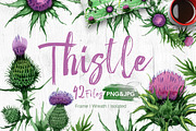 Thistle flowers PNG watercolor set, a Decorative Illustration by WatercolorPNG.com (Thumbnail 1 of 7)