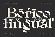 Berico – Modern Luxury Serif, a Serif Font by MaikoHatta (Thumbnail 8 of 8)