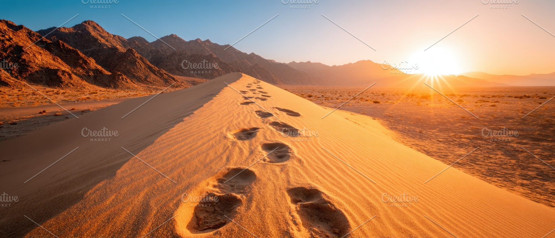Footprints in the desert at sunset, a Nature Photo by AlyaAnd