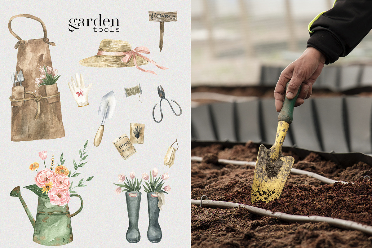 Watercolor Garden vol1, a Seasonal Illustration by LiChu Art (Photo 8 of 12)
