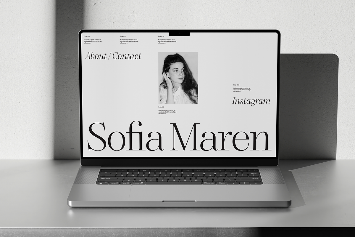 Dupioni - 6 font family, a Serif Font by Silktype (Photo 9 of 21)