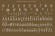 Fradesty - Luxury Serif Font, a Font by RagamKata (Thumbnail 13 of 13)