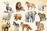 Cute Watercolor Animals, an Animal Illustration by Helospace (Thumbnail 4 of 10)