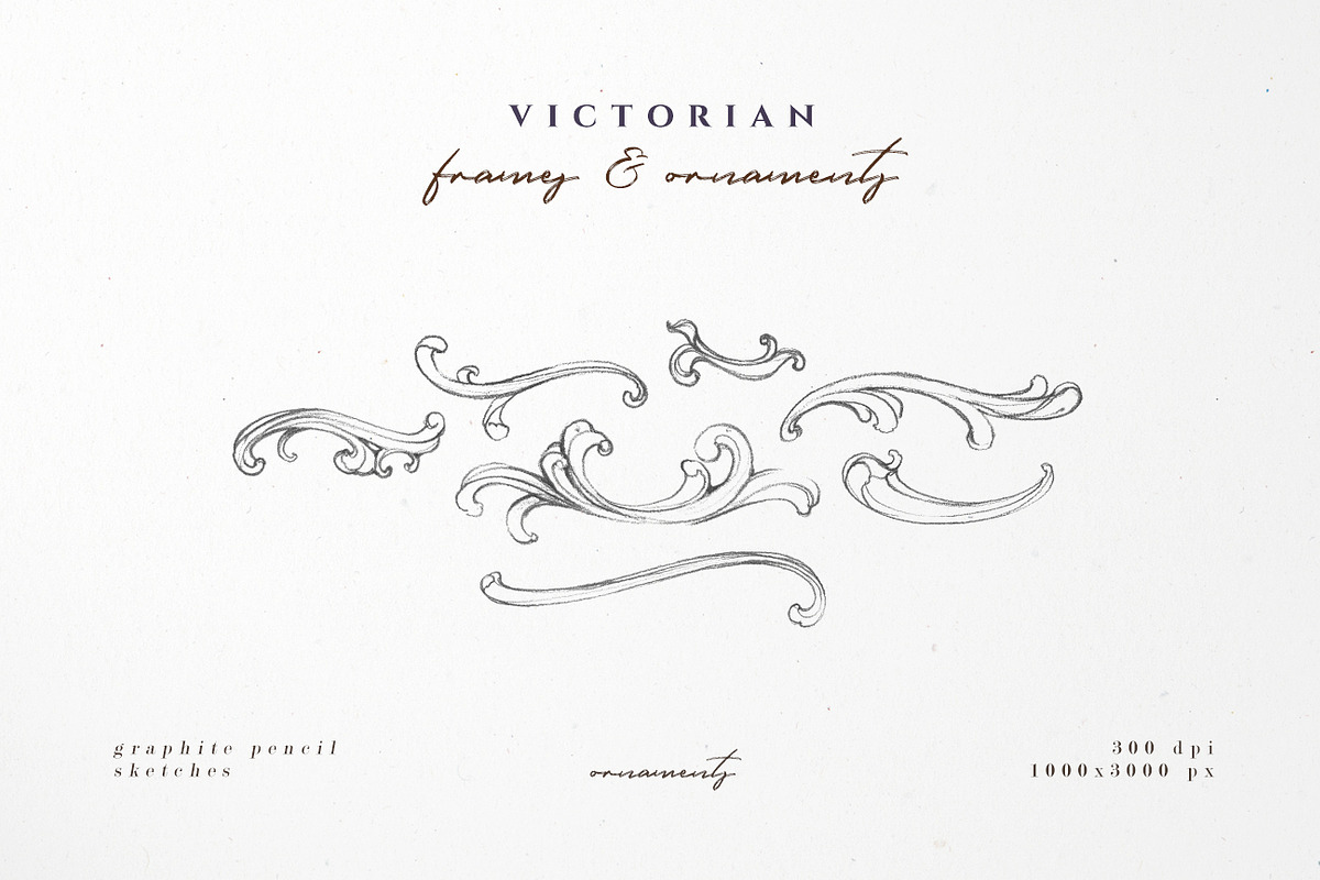 Victorian Frames & Ornaments, an Illustration by Aquarellina (Photo 23 of 27)