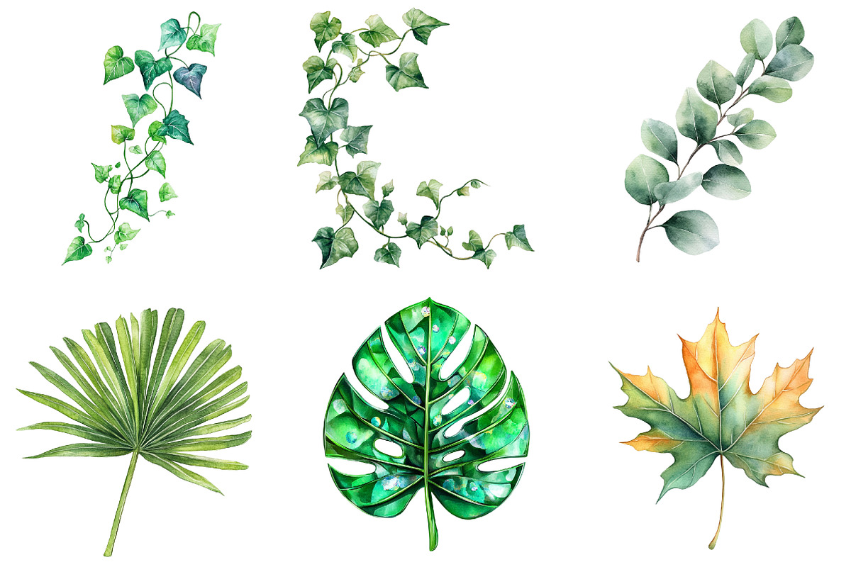 Green Summer Foliage Clipart, an Illustration by DreamArtGraphic (Photo 3 of 4)
