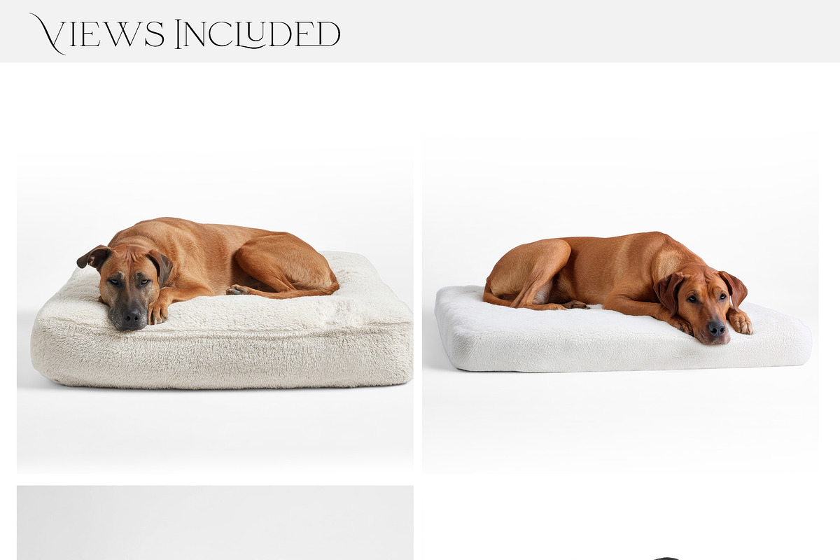 Pet Bed Mockups with Smart Object, a Product Mockup by mock-ups (Photo 2 of 13)