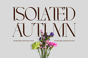 MARITIME DEFENSE - MODERN SERIF FONT, a Serif Font by 177Studio (Thumbnail 2 of 8)