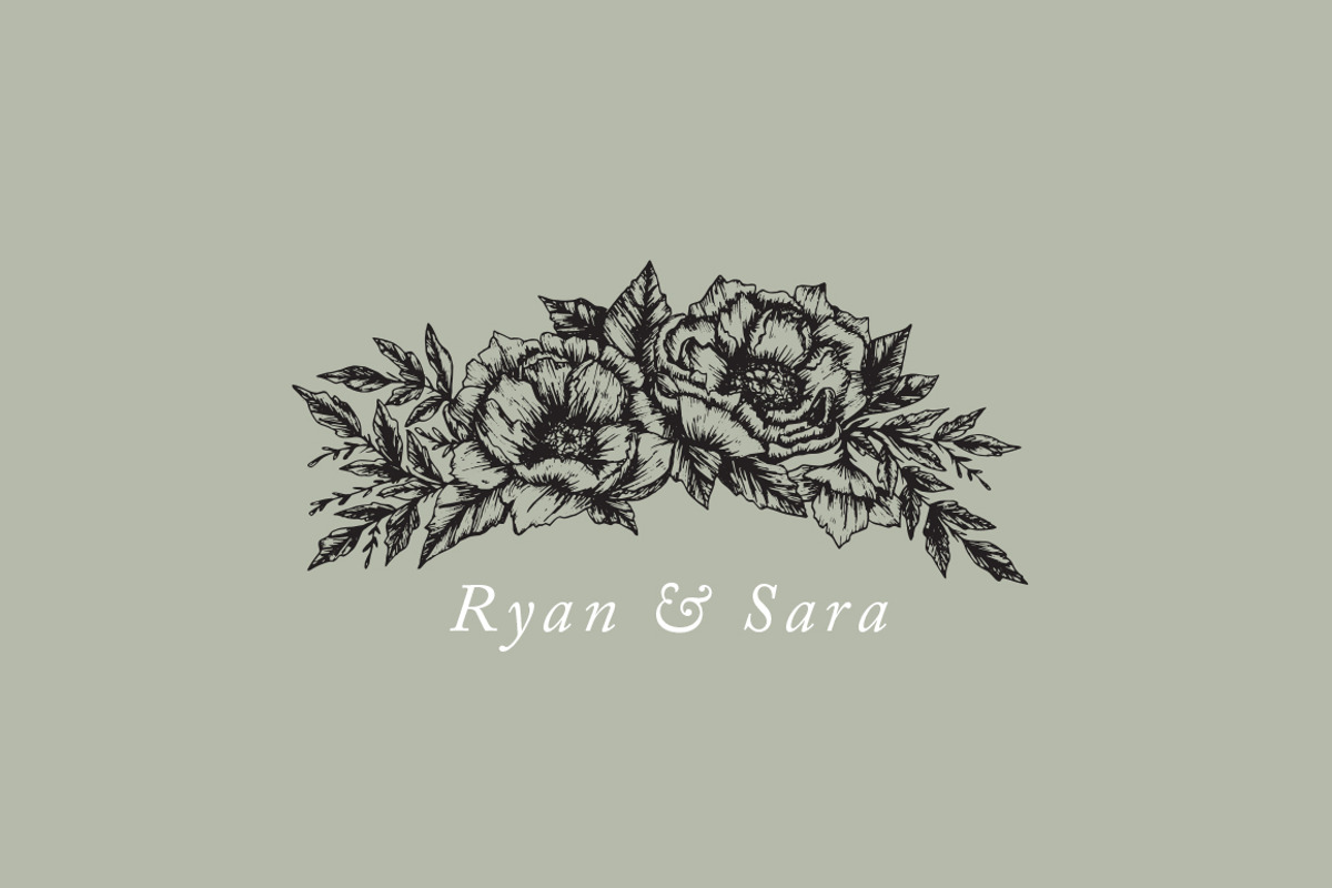 Hand-Illustrated Botanicals Vectors, an Illustration by Britt Fabello (Photo 3 of 5)