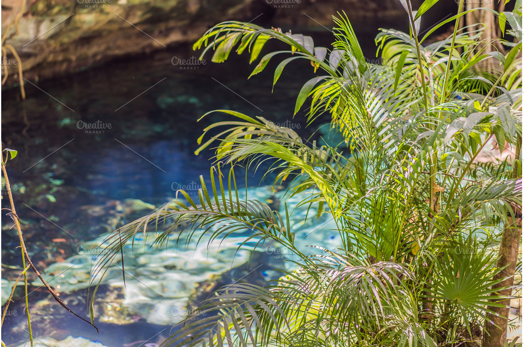 Stunning Yucatan cenote with crystal, a Nature Photo by Elizaveta Galitskaya
