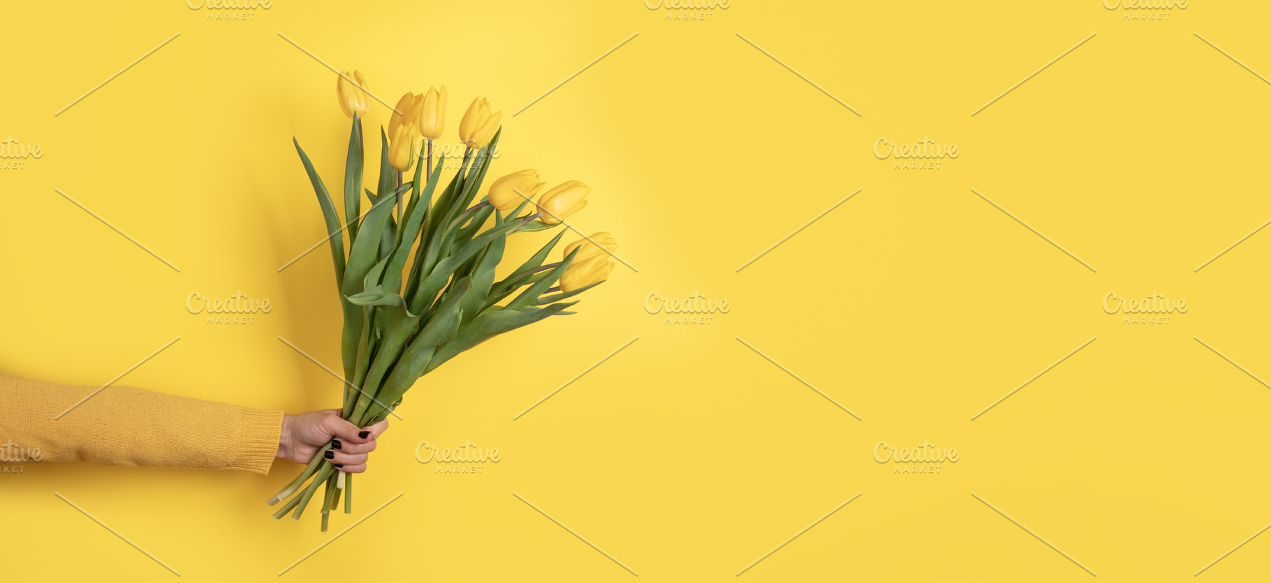 A hand in a yellow sweater holding a bouquet of yellow tulips ag, a Nature Photo by Ales Munt