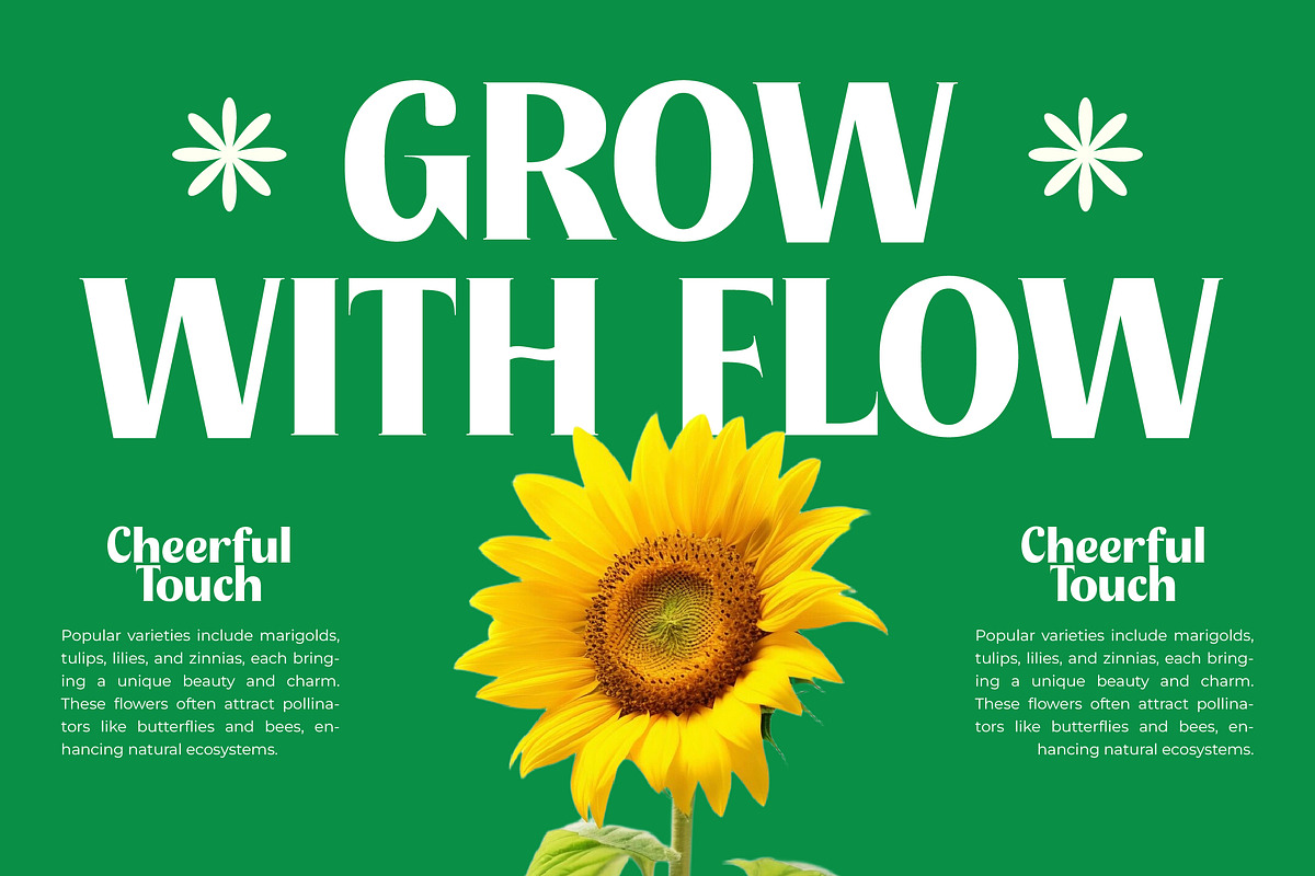 Agorey Dalling Groovy Retro Serif, a Serif Font by timelesstype.co (Photo 13 of 20)