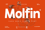 Molfin, a Sans Serif Font by Madjack.font (Thumbnail 1 of 12)