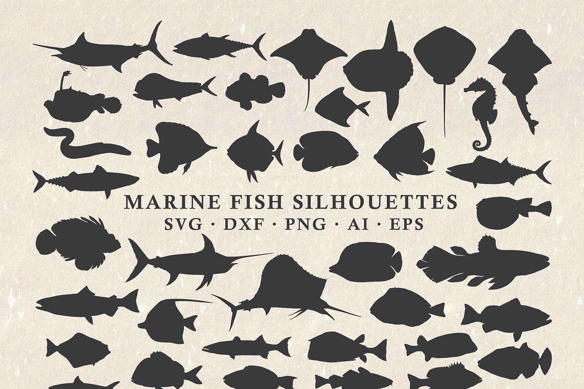 Fish Silhouettes Vector Pack, an Animal Illustration by Seaquint (Photo 1 of 3)
