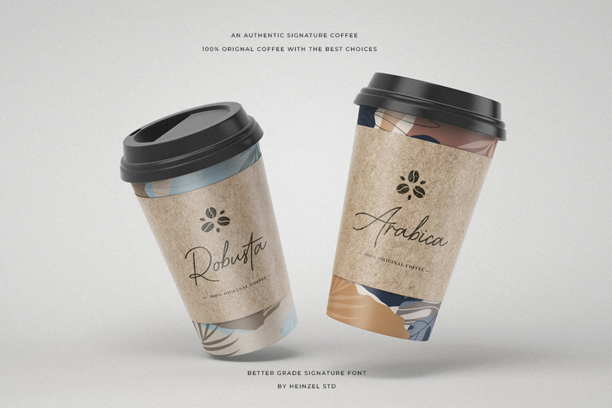 Better Grade Modern Signature Font, a Script Font by Heinzel Std (Photo 4 of 24)