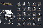 Collection of wild cats, an Animal Illustration by Masterlevsha (Thumbnail 1 of 2)