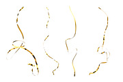 Foil Balloon Letters Set, an Object Graphic by Kotulsky Mockups (Thumbnail 3 of 4)