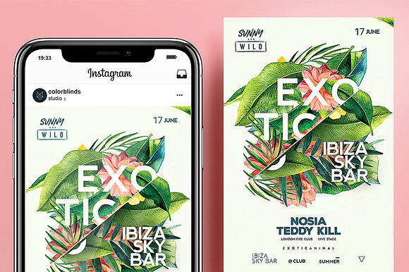 Exotic Flyer preview 4