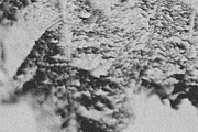 Black Static, a Texture Graphic by Jennifer Lauren Creative (Thumbnail 14 of 20)