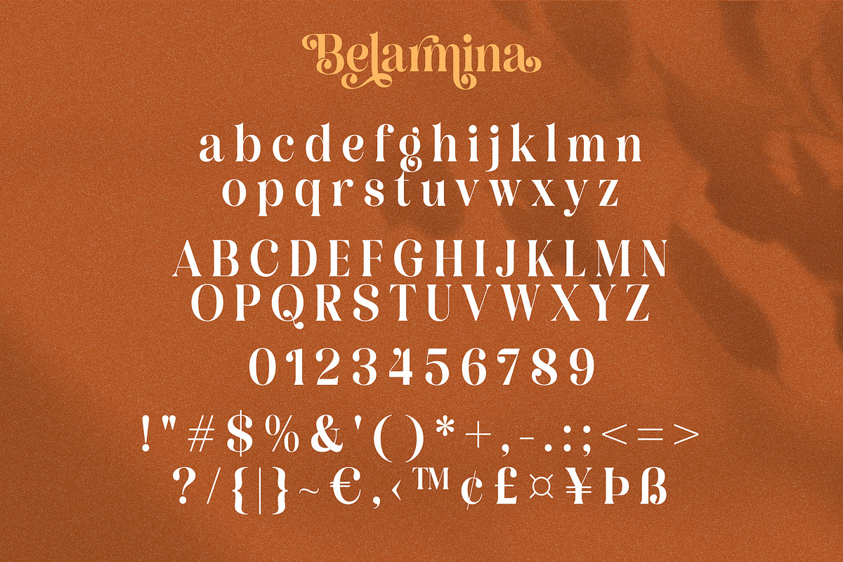 Belarmina - A Beauty Serif Font, a Serif Font by agnyhasyastudio (Photo 7 of 10)