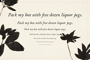 Hall Italic - Typeface, a Serif Font by Lilithcollageart (Thumbnail 5 of 10)