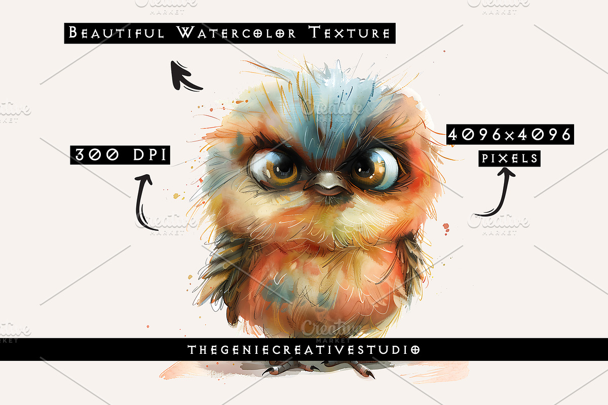 Fluffy Grumpy Bird PNG Clipart Set, an Animal Illustration by Geniecreativestudio (Photo 3 of 9)