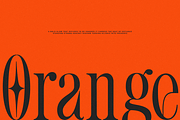 Romier Murilo Condensed Serif Font, a Serif Font by Rasio Studio (Thumbnail 6 of 11)
