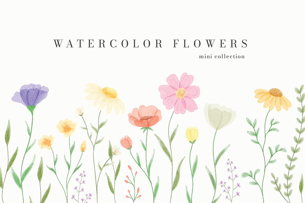 Watercolor Flowers Collection, a Decorative Illustration by An Design (Photo 1 of 5)