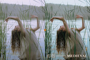 Medieval - Fantasy Lightroom Presets, a Preset Add-On by Presetrain Co. (Thumbnail 7 of 12)