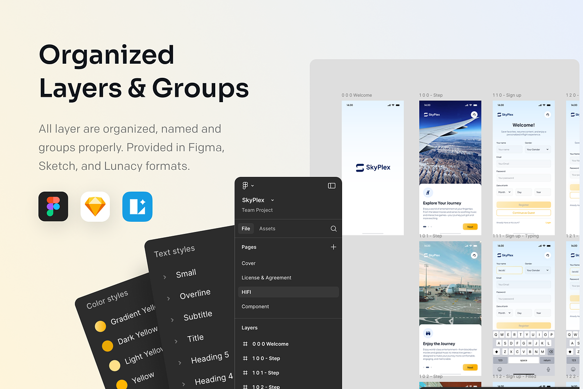 SkyPlex - Inflight Entertain SAAS preview 7