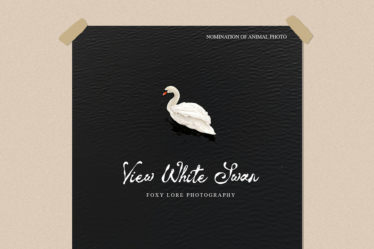 Letter of Berlin Classic Script Font, a Script Font by Myn Type (Photo 5 of 14)