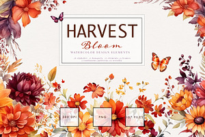 Harvest Bloom Watercolor
