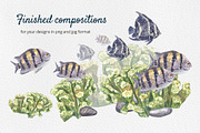 Coral Reef Watercolor Clipart, an Animal Illustration by Nastya Che (Thumbnail 5 of 14)
