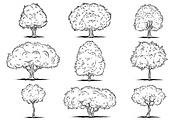 Cartoon deciduous trees, a Decorative Illustration by yuanden graphics (Thumbnail 2 of 3)