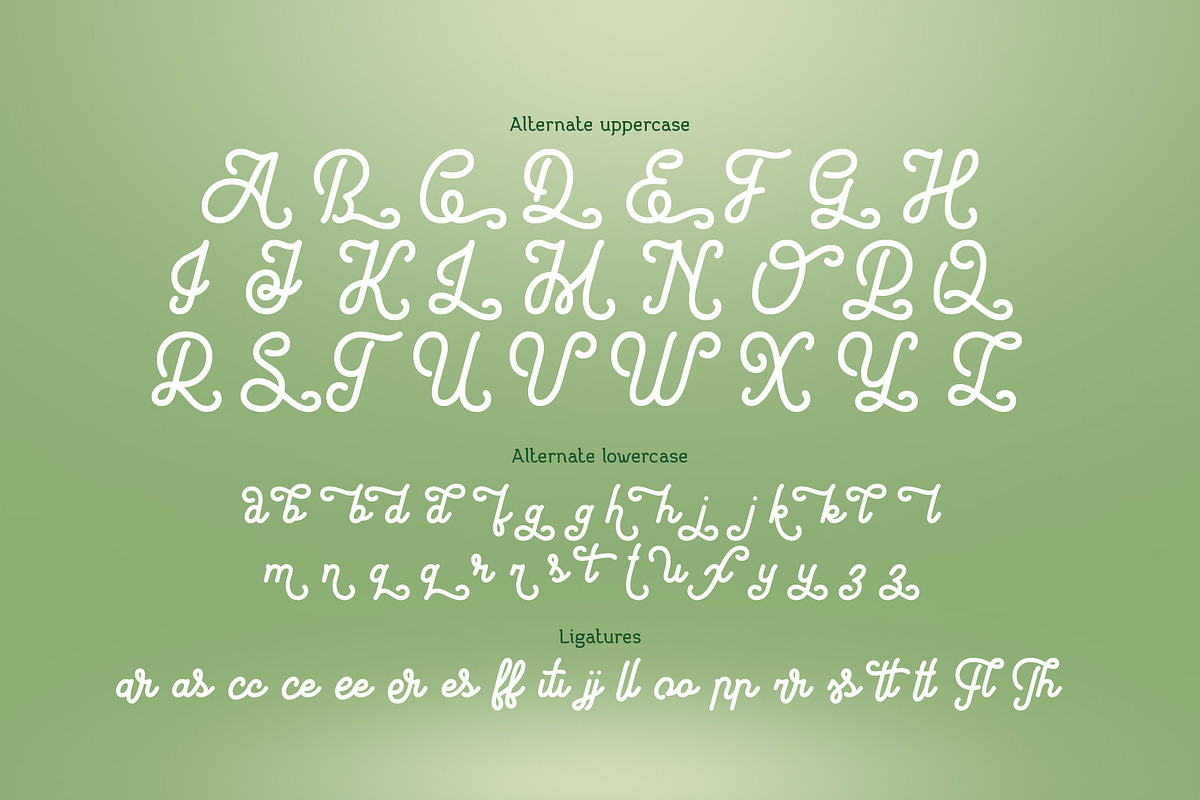 Harietta Font & Graphics preview 8