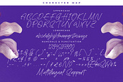 Bestnight Tropicals Ballpoint Script, a Script Font by stylishtype.co (Thumbnail 18 of 20)