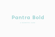 Pantra Bold, a Sans Serif Font by Nicolas Desle (Thumbnail 1 of 5)